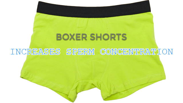 Loose Boxer Shorts Increase Sperm Concentration