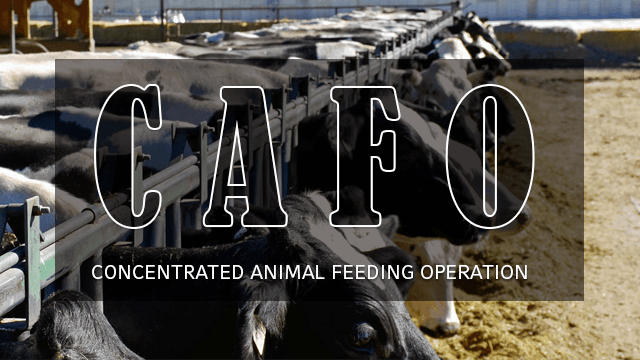 Concentrated Animal Farm Operations