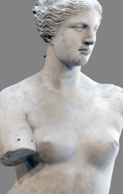 Venus De Milo Perfect Woman's Breasts Shape Proportion
