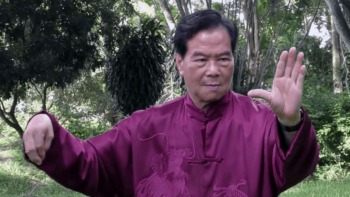Master Mantak Chia - Taoist Master and Healer