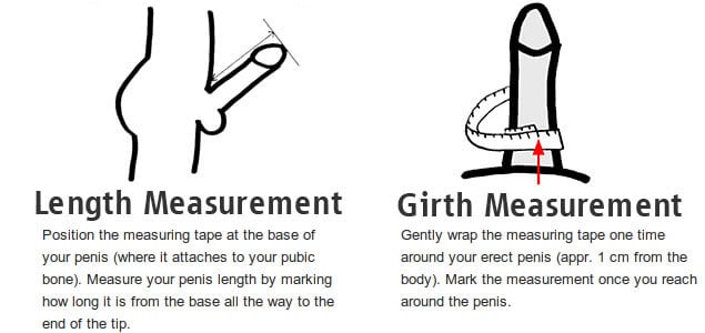 Measurement Of Penis 92
