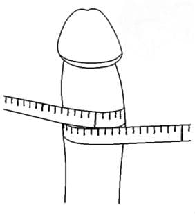 Penis Girth Measurement 73