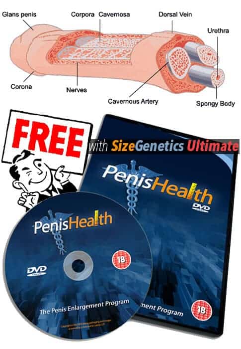 Penis Health DVD FREE with SizeGenetics Ultimate