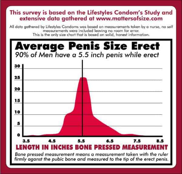 Penis Size Average According To Survey