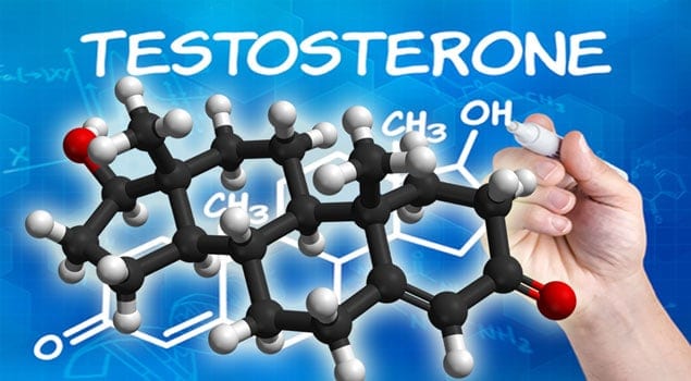 Testosterone For Male Vitality And Virility