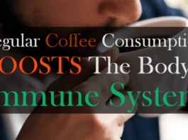 Regular Coffee Drinking Boosts The Immune System