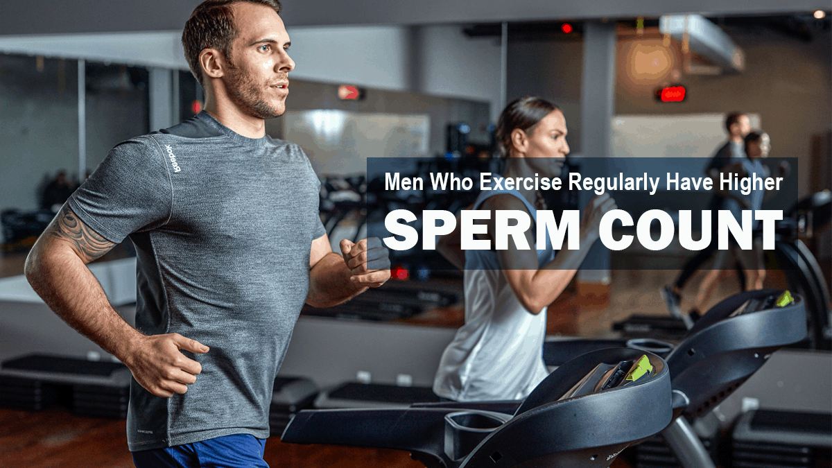 Regular Exercise Increases Sperm Count