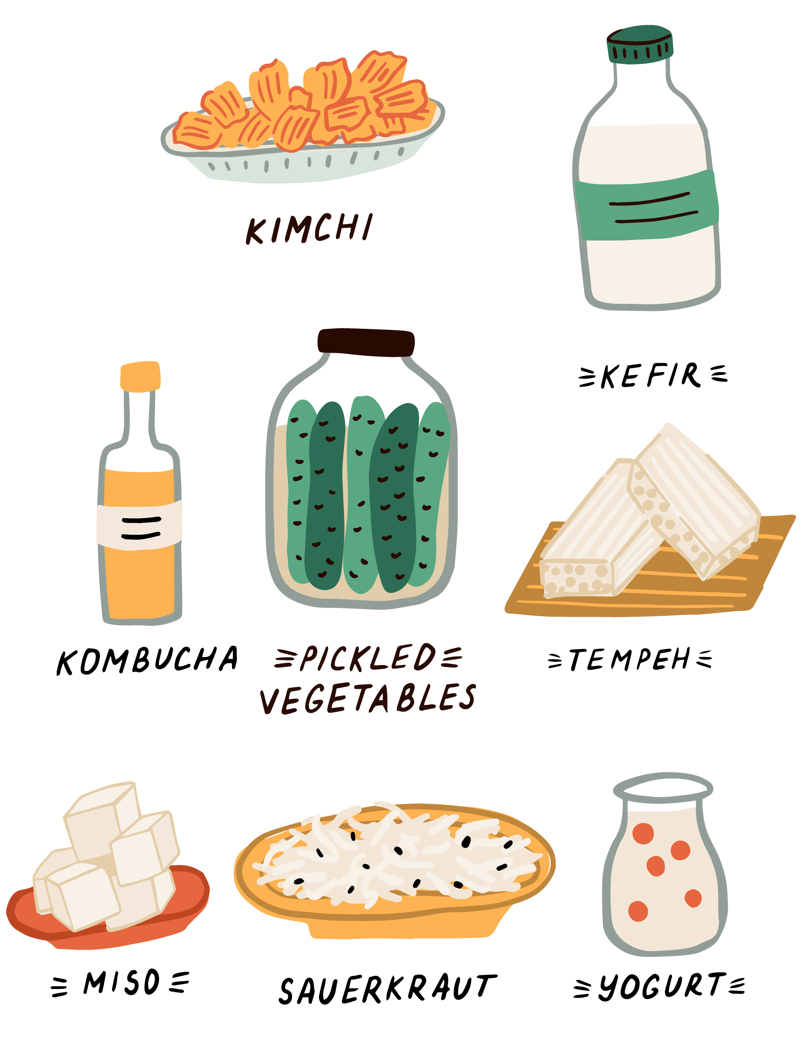 Fermented Foods and Drinks