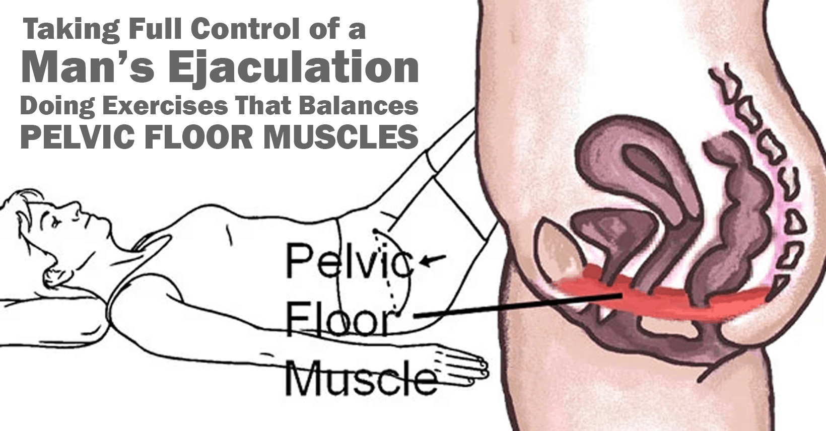 Achieving A Balanced Pelvic Floor Muscles Is Vital To Gain Ejaculatory Control In Men Menlify