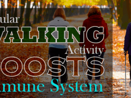 Frequent Walking Activity Is An Immune System Booster