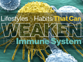 Habits That Weaken The Immune System