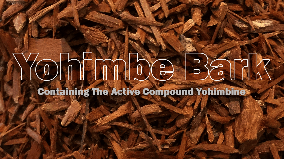 Yohimbe Bark Containing Yohimbine Compound